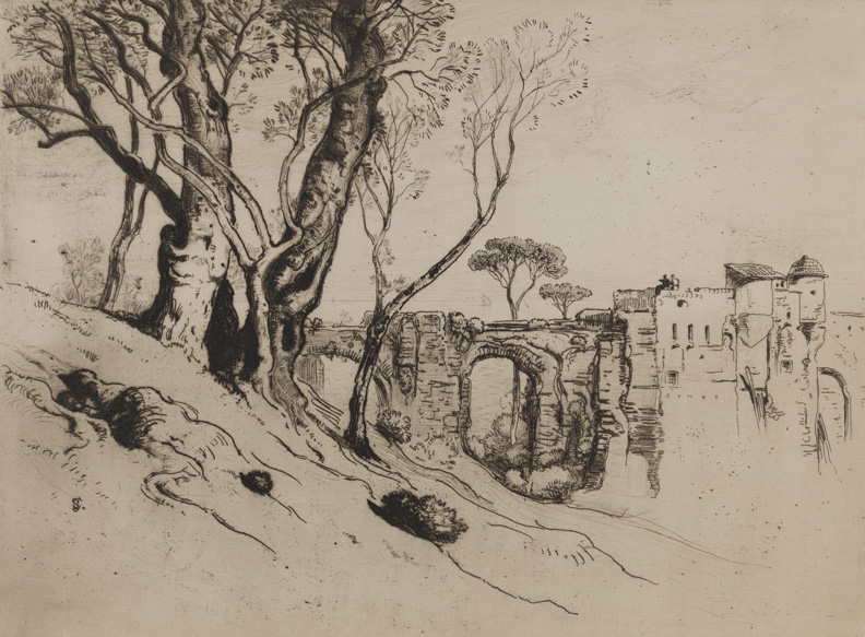 The Olive Trees of the Riviera