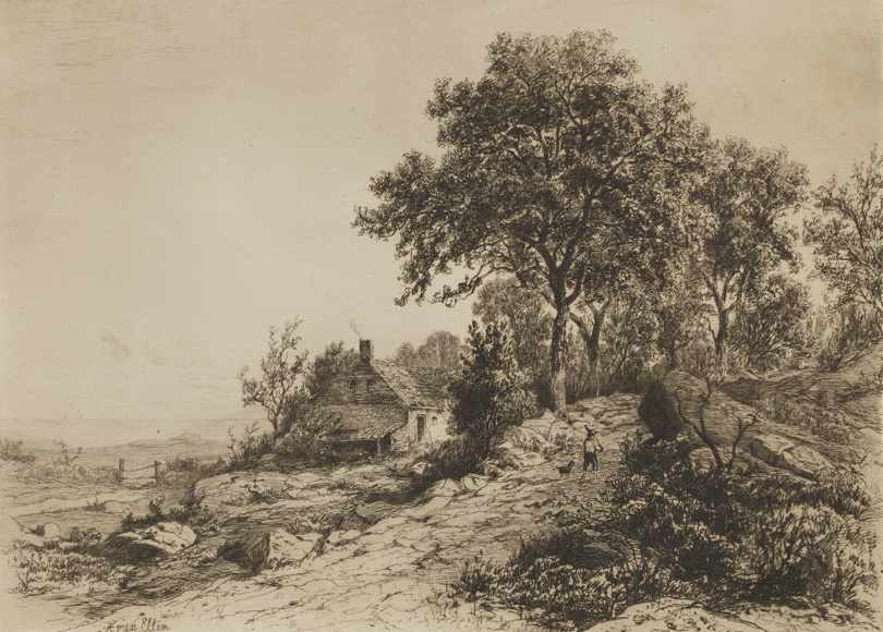 The Cottage by the Sea