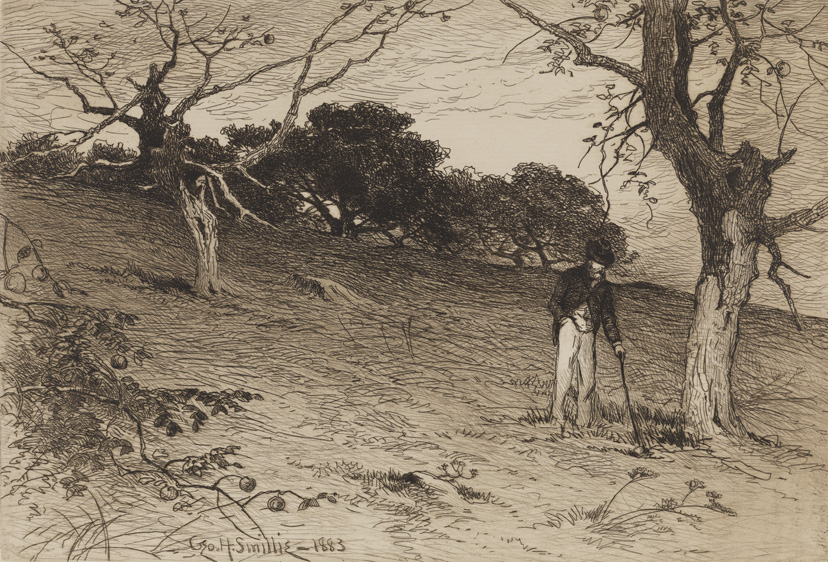 An Old New England Orchard