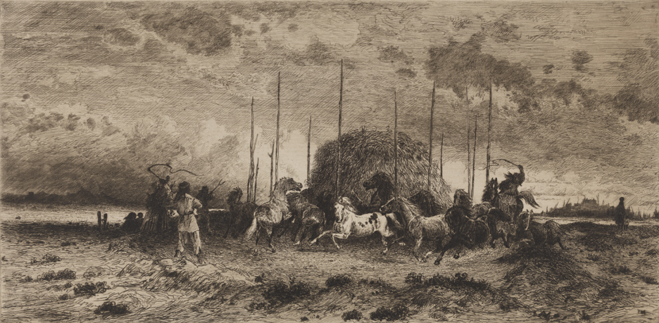 Harvest at San Juan, New Mexico