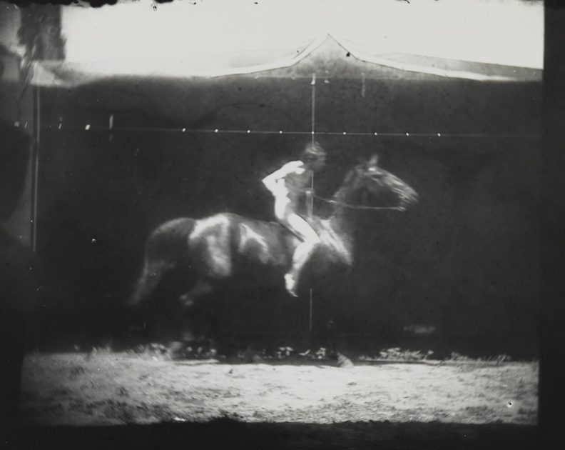 Motion study: male nude on horse