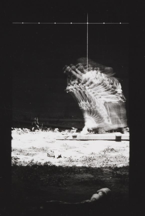 Differential-action study: Man in bowler hat, moving horse's stripped leg