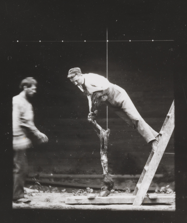 Differential action study: Man on ladder leaning on horse's stripped hind leg, while second man at left looks on
