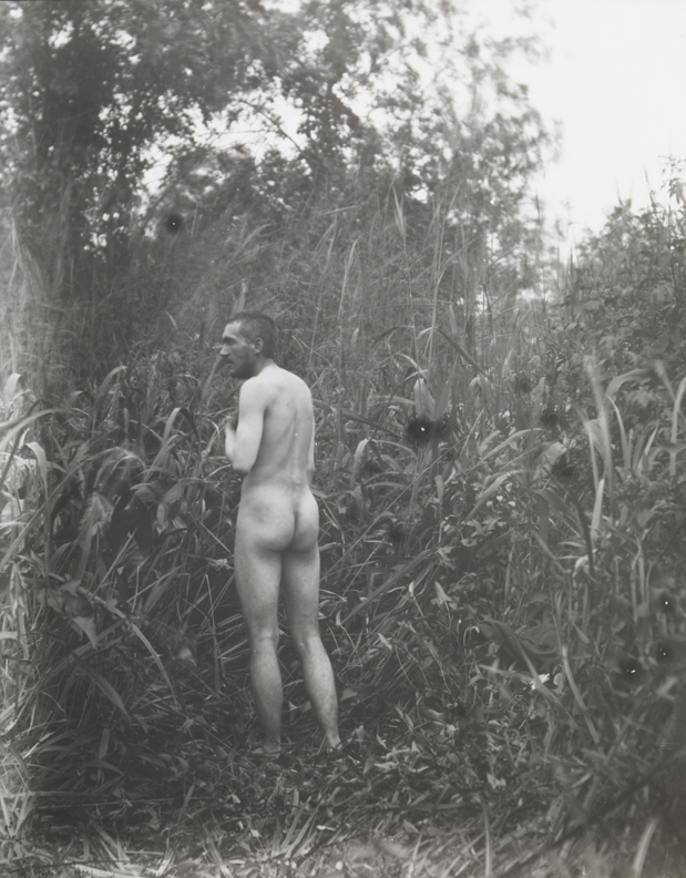 Thomas Eakins nude, facing left, from rear, in tall grass