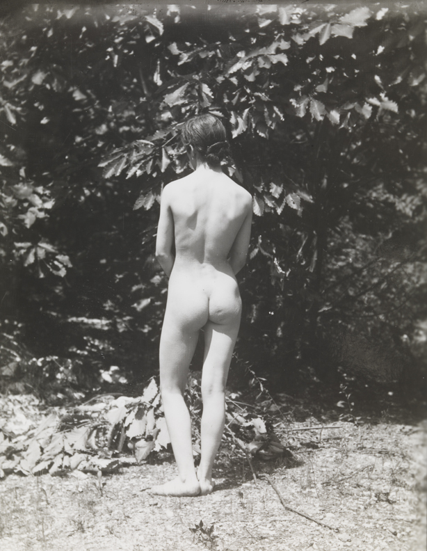 Susan Macdowell Eakins nude, from rear