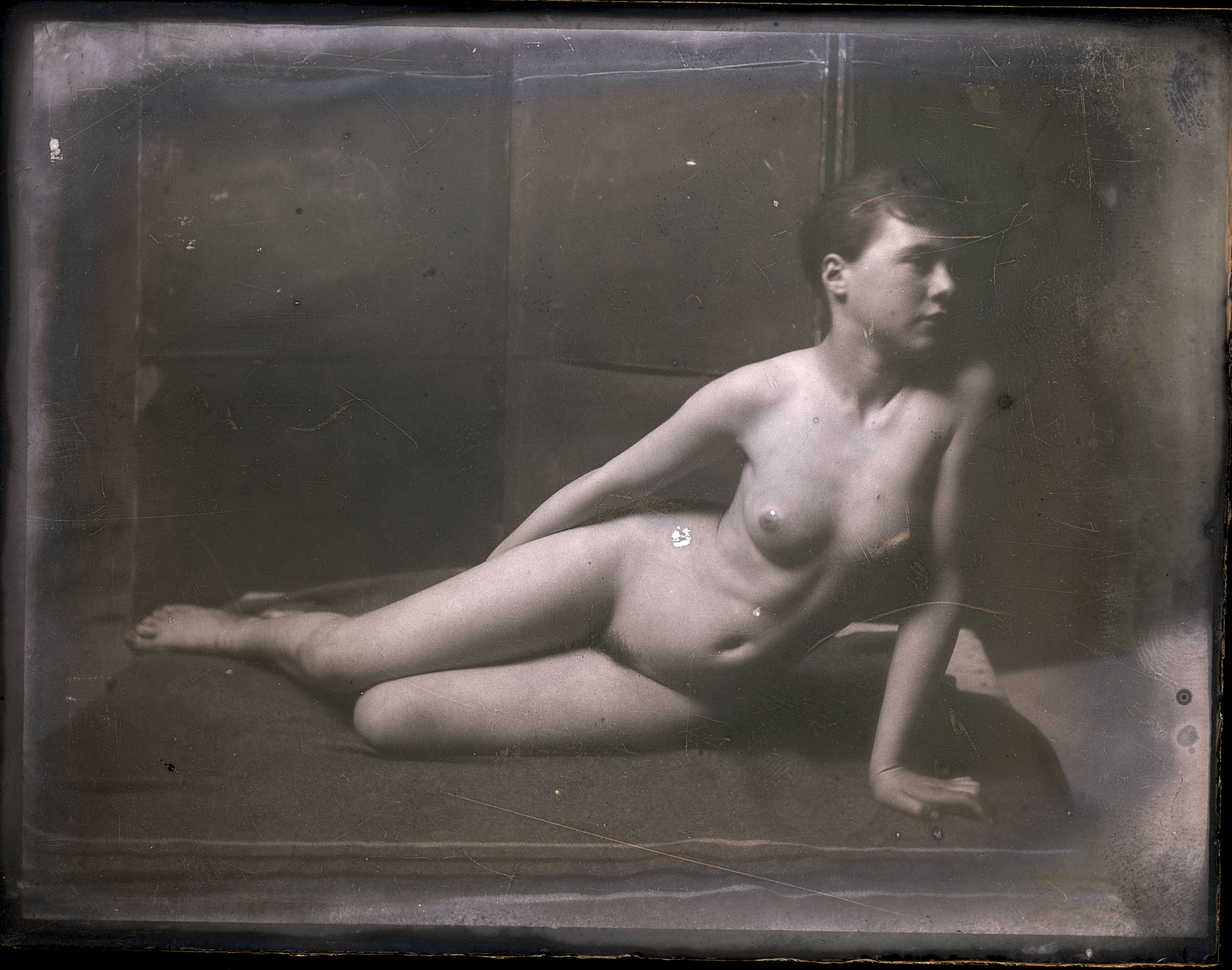Female nude semireclining