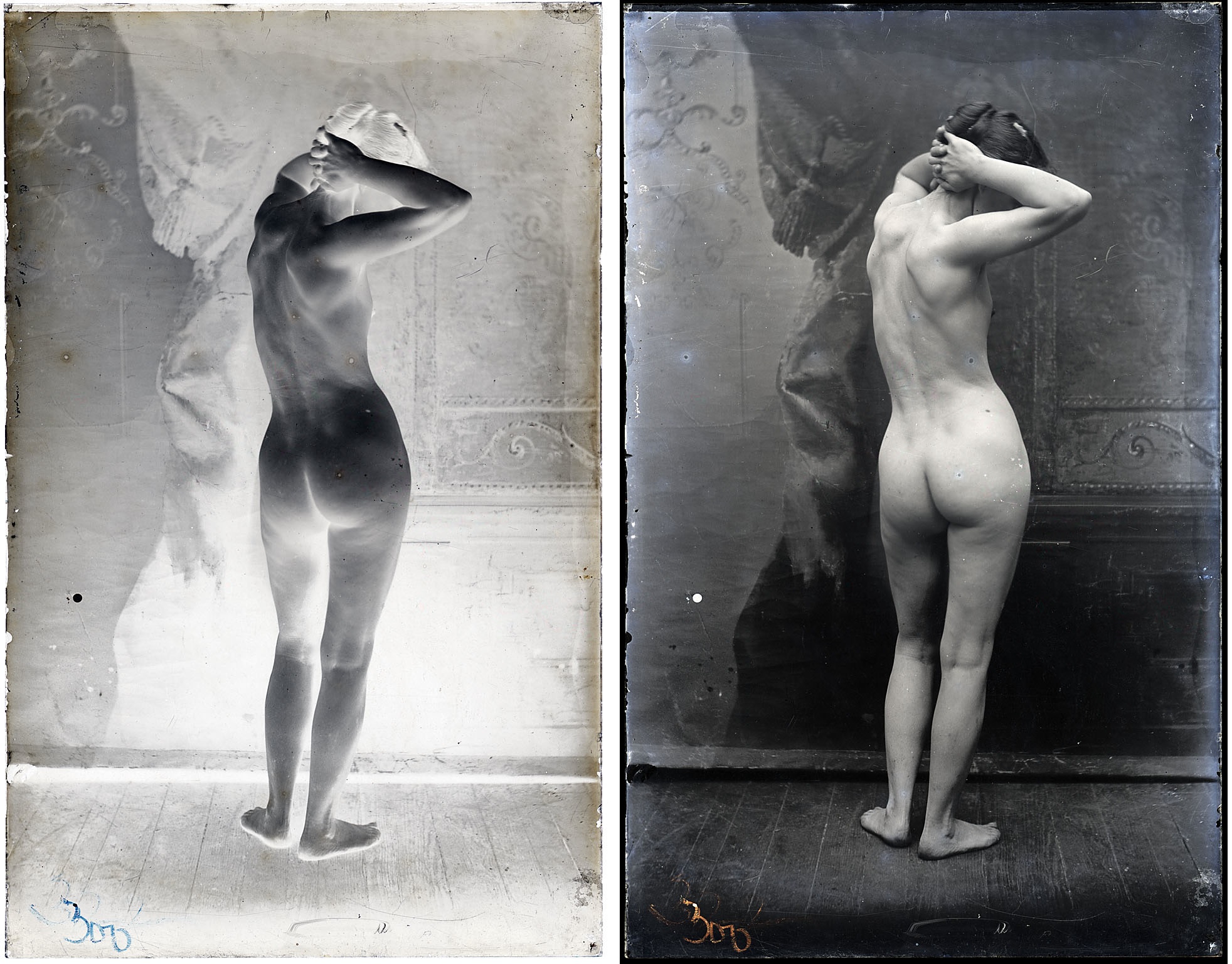 Female nude, hands on head, from rear