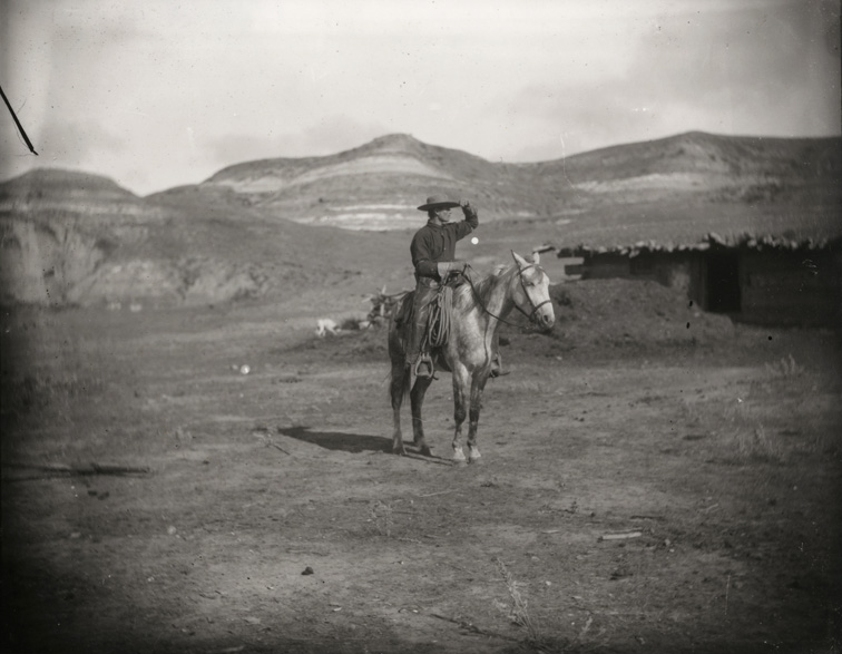 Cowboy in a dark shirt, on dappled horse, shielding eyes from sun