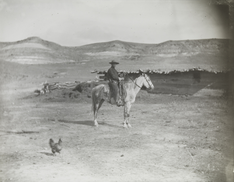 Cowboy in dark shirt, on dappled horse