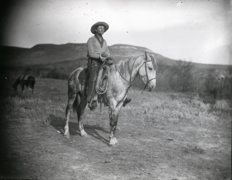 Cowboy with dark neckerchief, on dappled horse