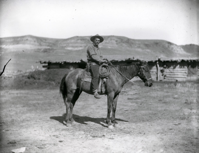 Cowboy with dark neckerchief, on dappled horse