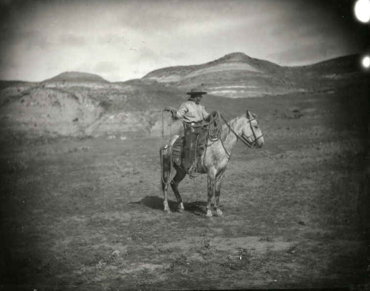 Cowboy in buckskin shirt, on dappled horse, lariat in hand