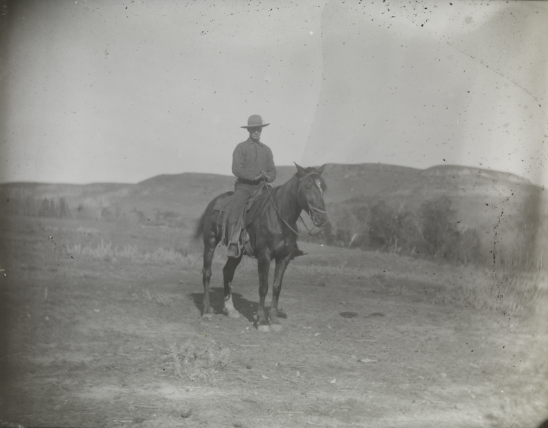 Cowboy in checked pants, on dark horse