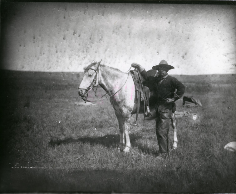 Cowboy in dark shirt, standing next to dappled horse, on grassland