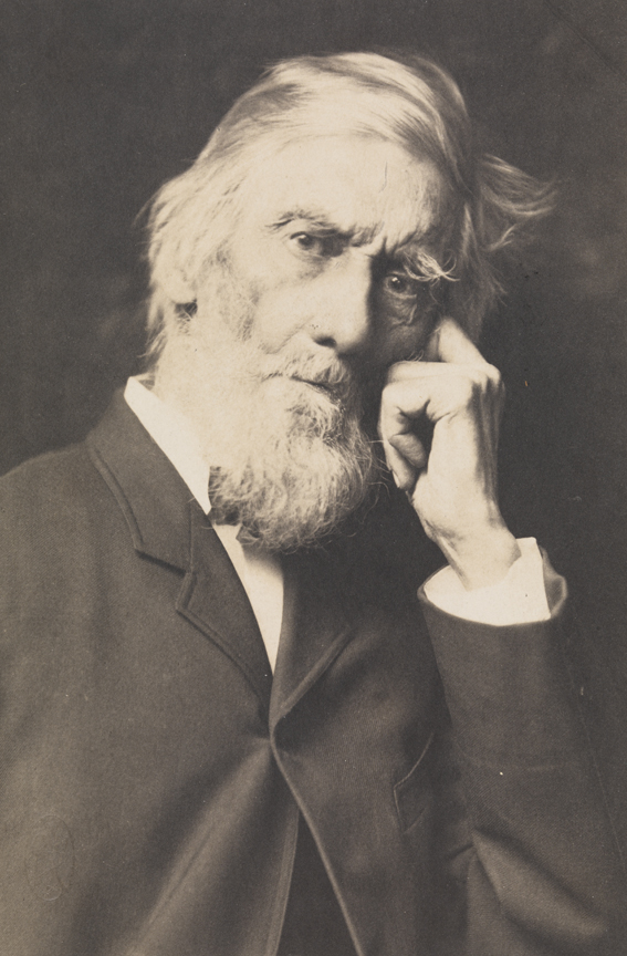 William H. Macdowell