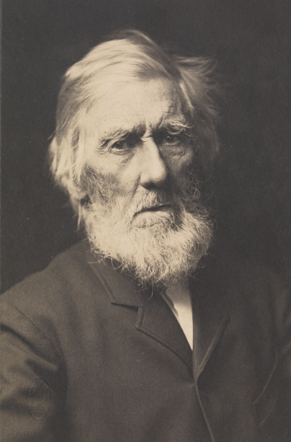 William H. Macdowell