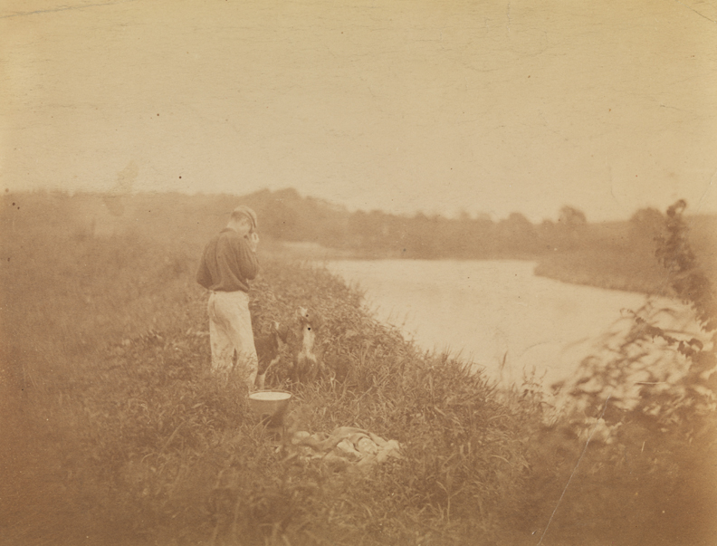 Man and two dogs at edge of river
