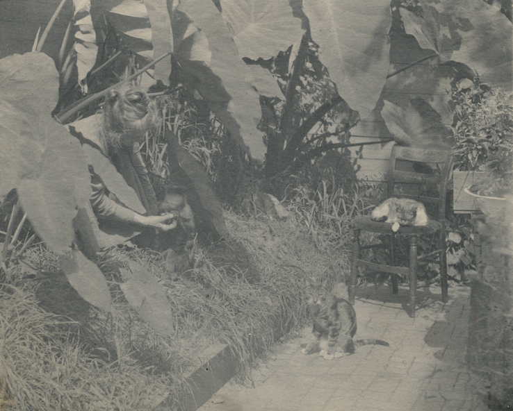 Susan Macdowell Eakins with monkey and two cats in yard of the family home at 1729 Mount Vernon Street, Philadelphia