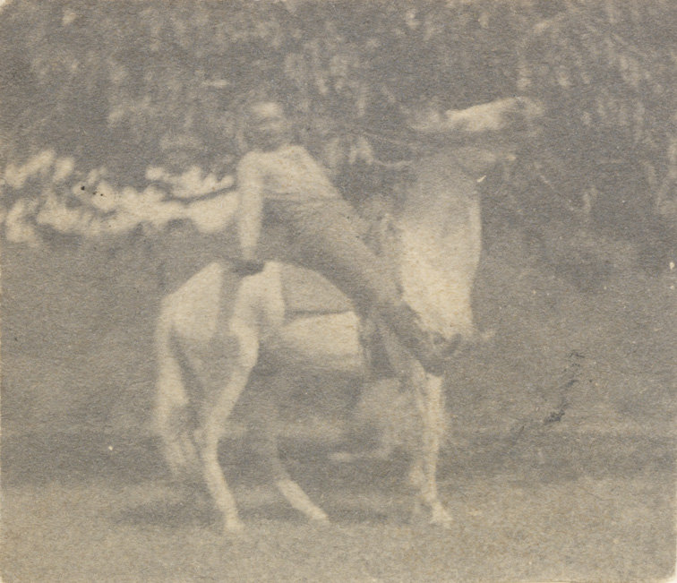 Thomas Eakins riding his horse Billy, halting