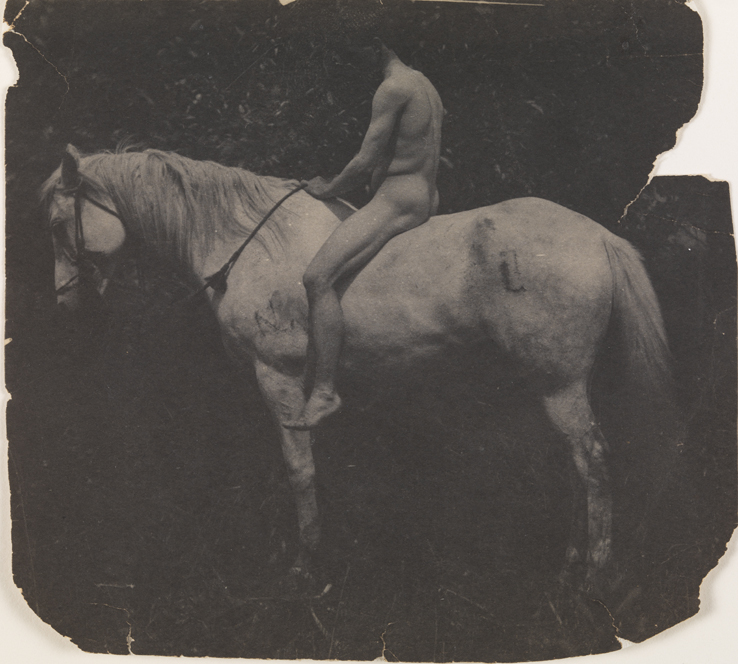 Samuel Murray nude, on Thomas Eakins's horse Billy