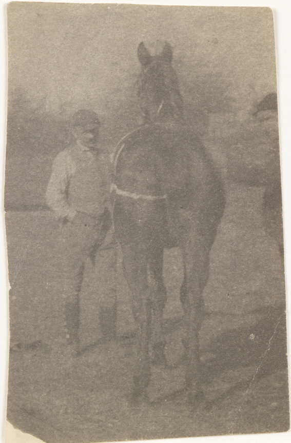 Horse (chalk grid drawn on body), from rear