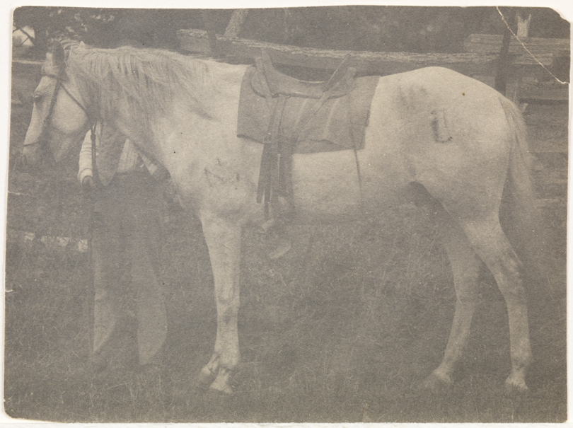 Thomas Eakins's horse Billy, saddled, facing left; man standing behind