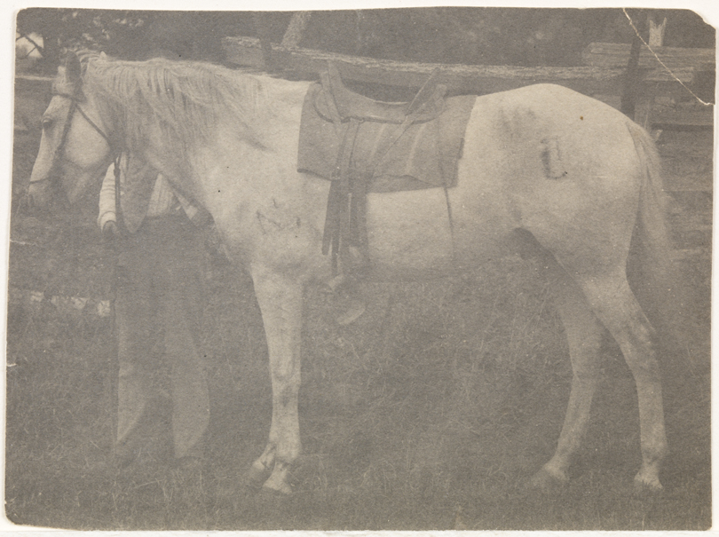 Thomas Eakins's horse Billy, saddled, facing left; man standing behind
