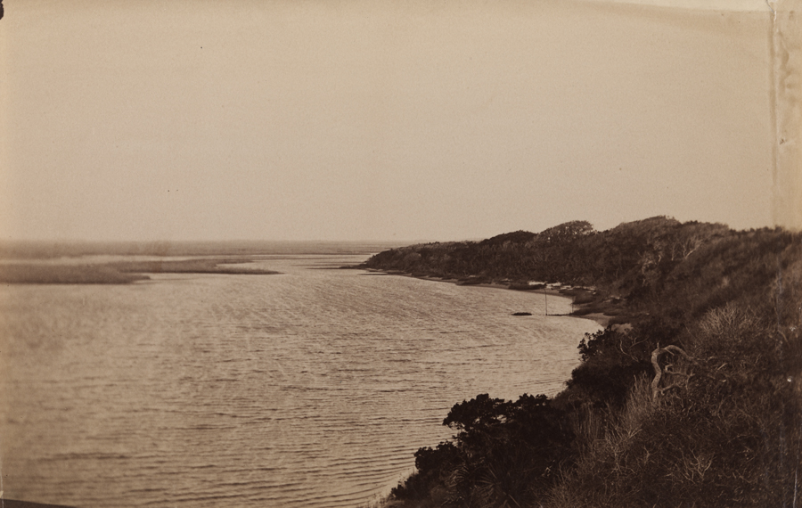 Landscape with sand dune and tropical vegetation