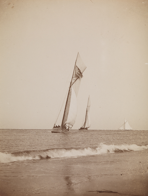 Sailboats on Delaware Bay