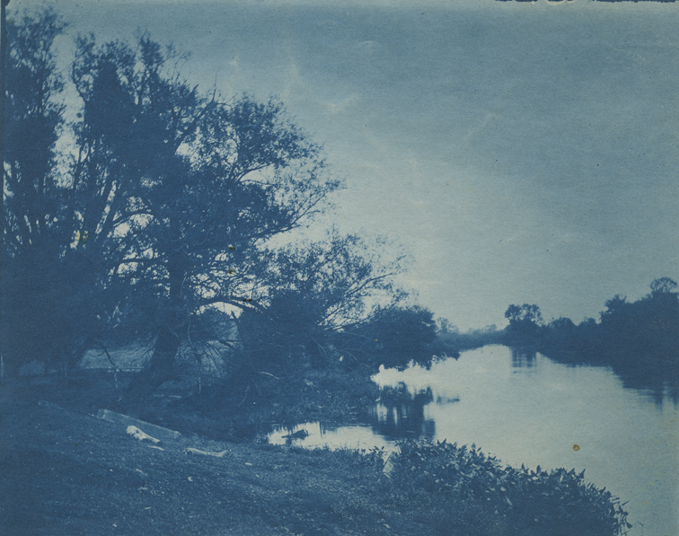 Landscape with river and overhanging tress, Avondale, Pennsylvania (?)