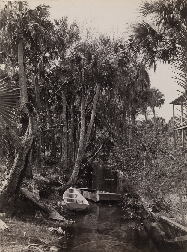 Tropical landscape with man fishing in small waterway