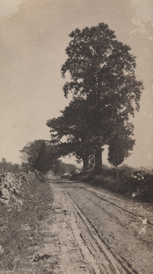 Landscape with country road and stone wall
