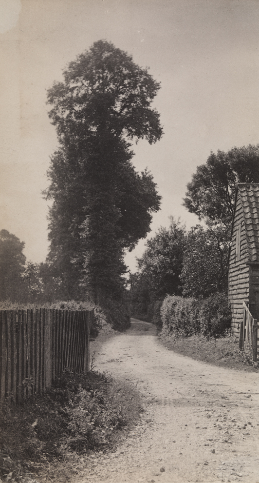 Narrow country road with shingled house and fence