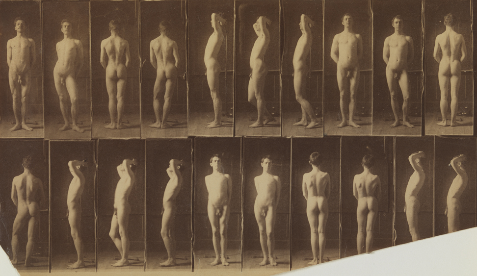 Naked series: twenty photographs of four males, two complete and two partial series of poses