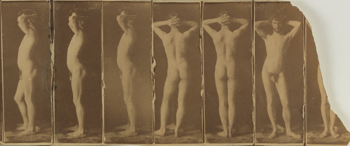 Naked series: photographs of adult male, poses 2, 1 (twice), 7, 6, 5, 4 (last pose a fragment)