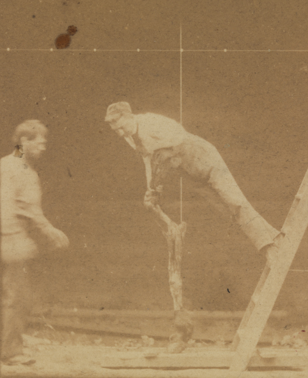 Differential-action study: man on ladder, leaning on horse's stripped hind leg, while second man at left looks on