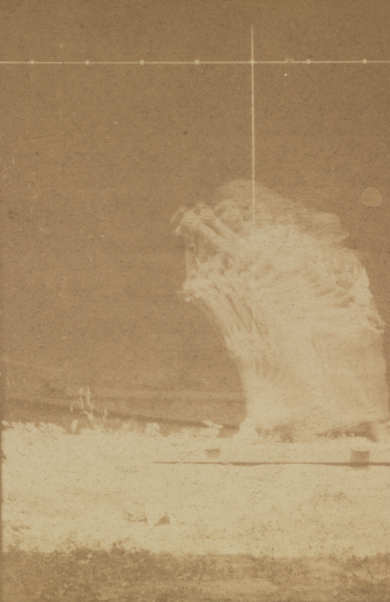 Differential-action study: man in bowler hat, moving horse's stripped leg