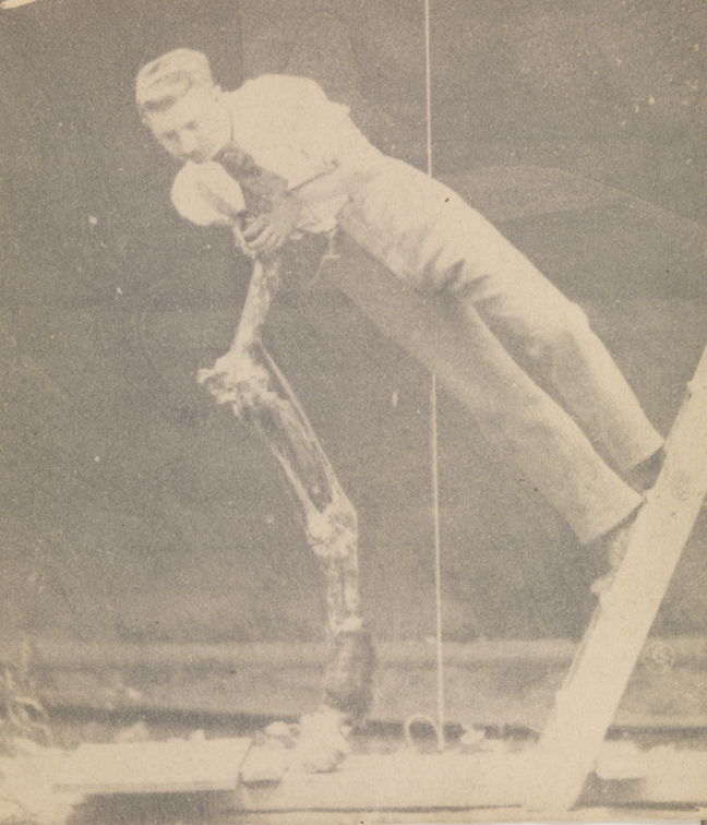 Differential-action study: man on a ladder, leaning on horse's stripped foreleg
