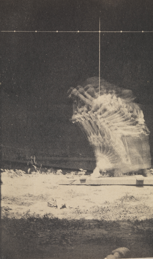 Differential-action study: man in bowler hat, moving horse's stripped leg