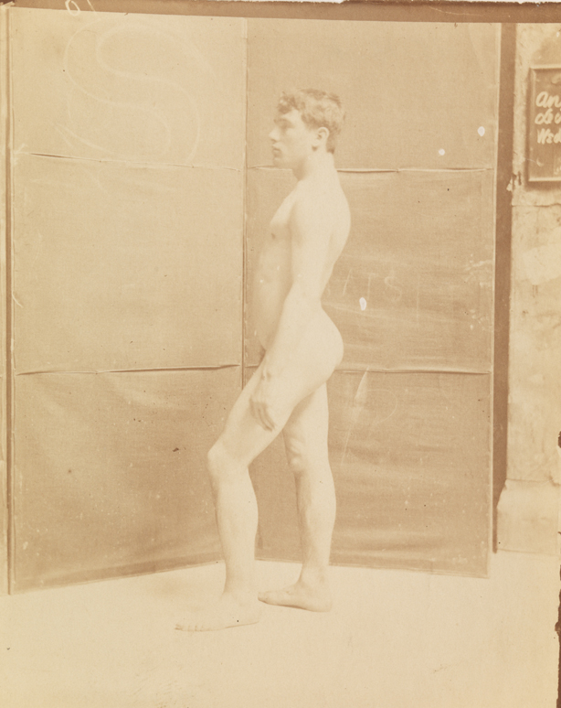 Tom Eagan nude, facing left, in front of folding screen