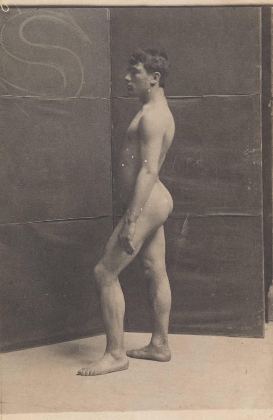 Tom Eagan nude, facing left, in front of folding screen