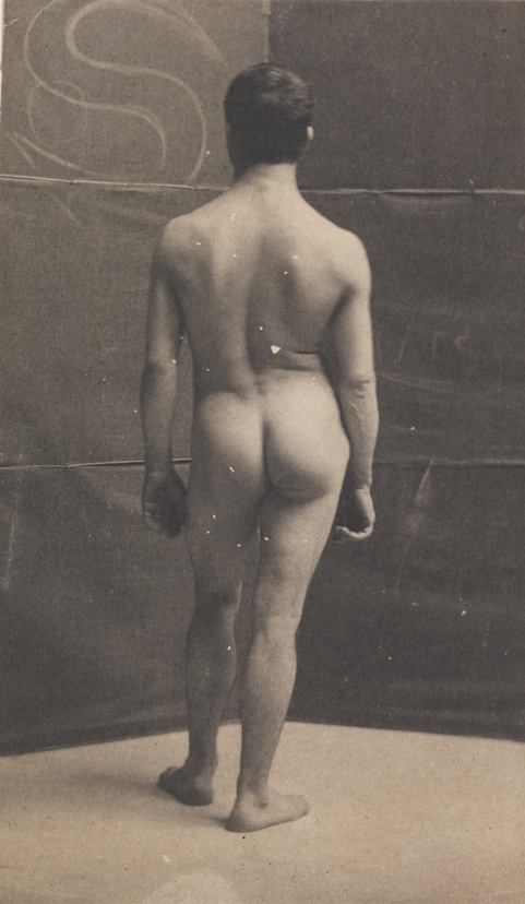 Tom Eagan nude, from rear, in front of folding screen