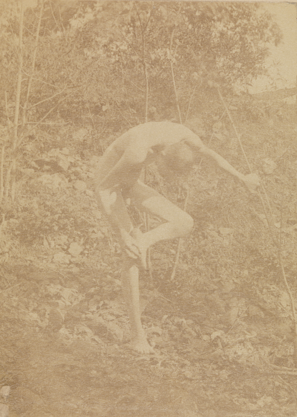 Male nude, standing on one leg, in wooded landscape