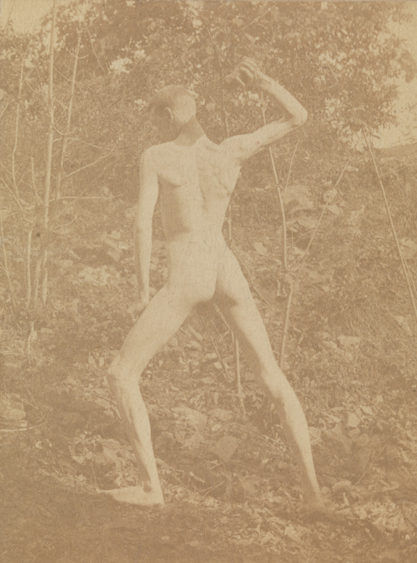 Male nude, poised to throw rock, facing left, from rear, in wooded landscape