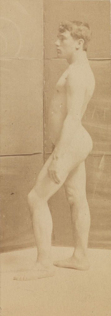 Tom Eagan nude, facing left, in front of folding screen