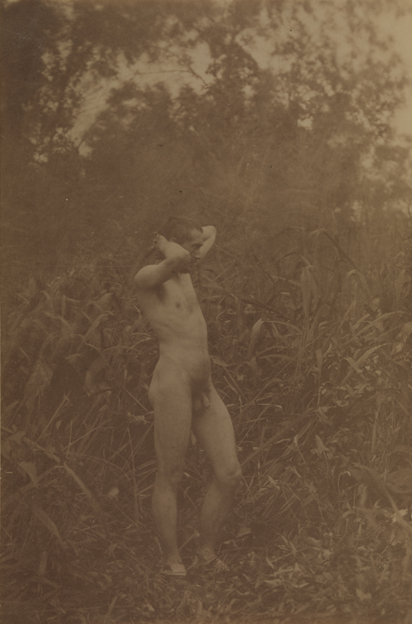 Thomas Eakins nude, facing right, hands clasped behind head, in tall grass