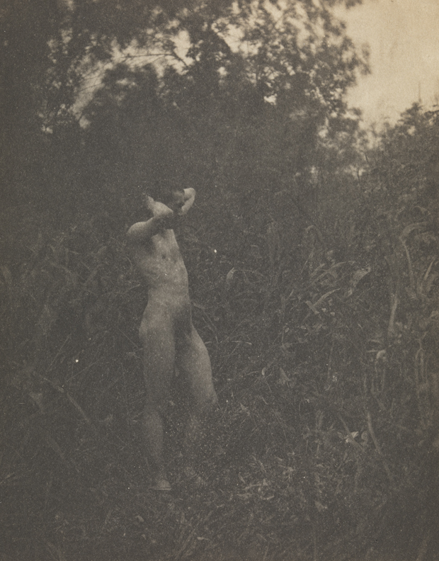 Thomas Eakins nude, facing right, hands clasped behind head, in tall grass