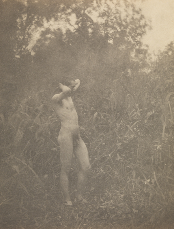 Thomas Eakins nude, facing right, hands clasped behind head, in tall grass