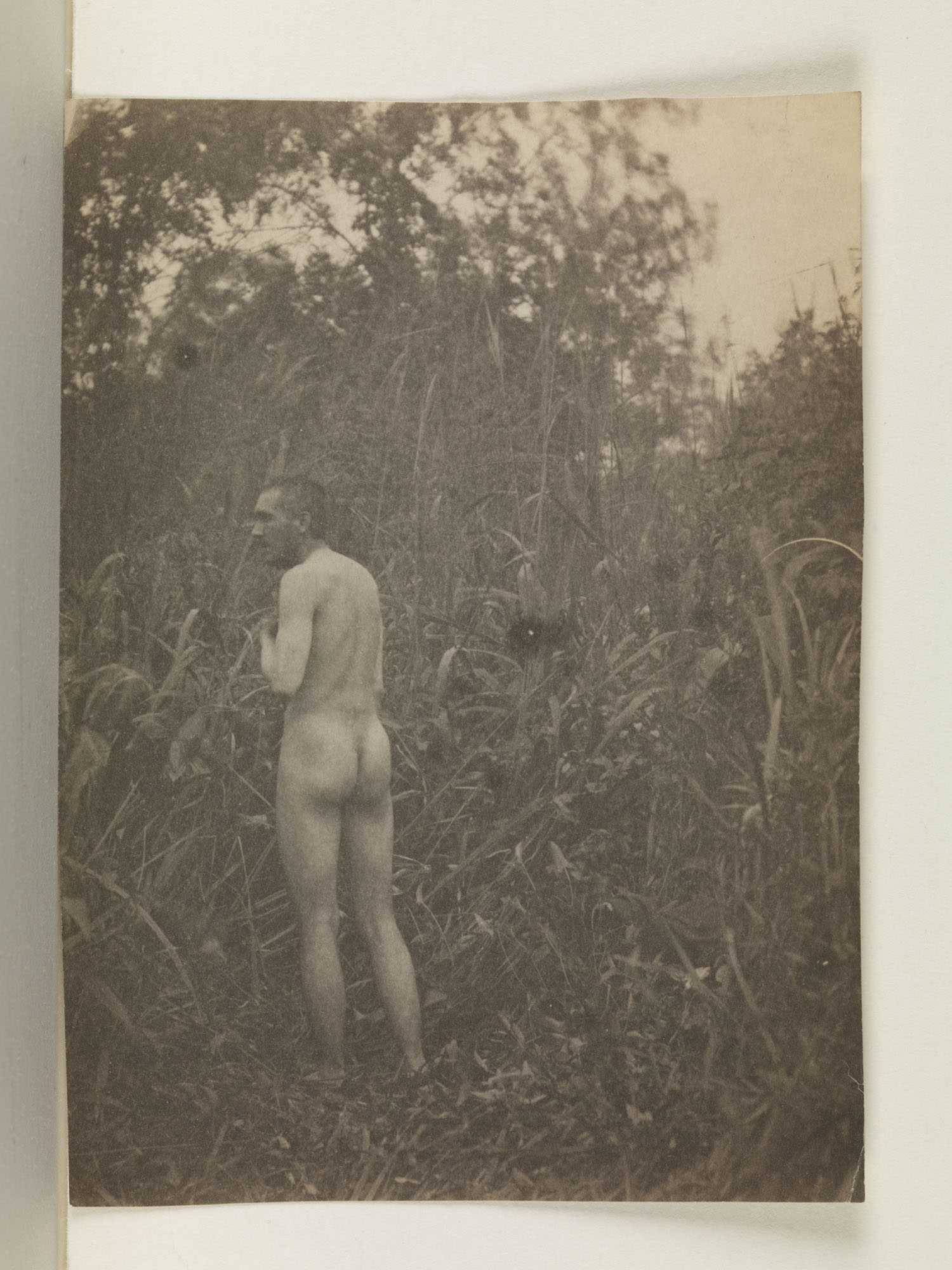 Thomas Eakins nude, facing left, from rear, in tall grass