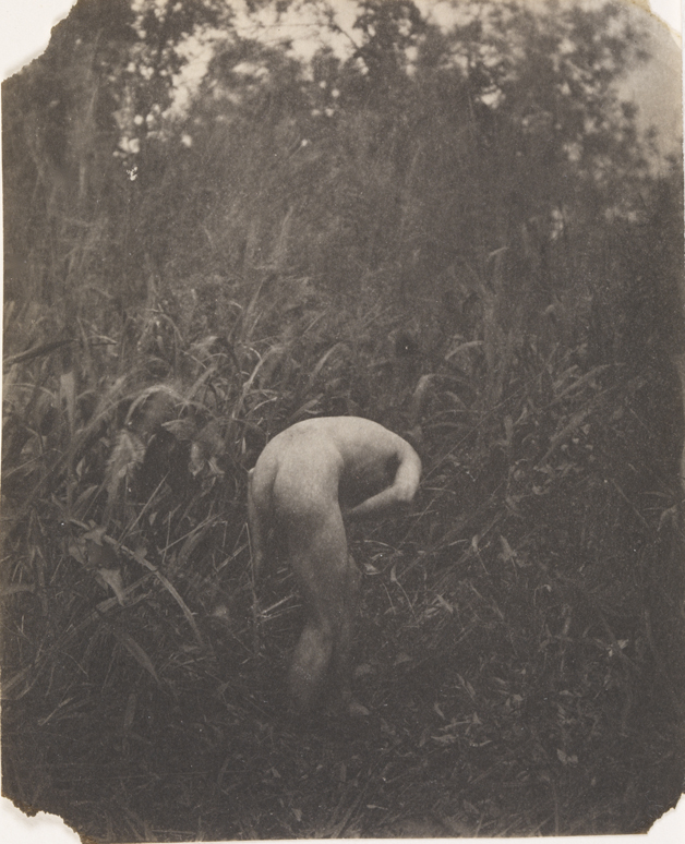 Thomas Eakins nude, bending over, from rear, in tall grass